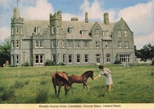 Postcard Horses Breaffy House Resort Mayo County Ireland West Castlebar Woman - Picture 1 of 2