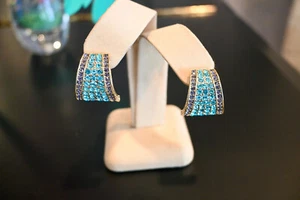 $60 HEIDI DAUS "Say it with Style" Aquamarine Crystal Half Hoop Earrings Omega - Picture 1 of 6