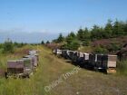 Photo 6X4 Forestry Road With Beehives Cloudlam Beck The Western Edge Of H C2010