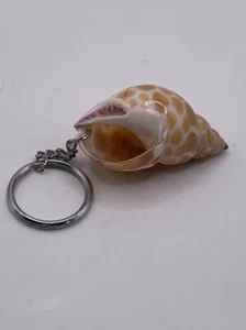 Handcrafted Natural Exotic Snail Shell Keychain - Picture 1 of 3