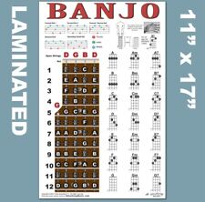 LAMINATED Banjo Chord Chart Poster Fretboard Rolls 5 String Chords Beginner for sale
