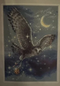 RIOLIS Counted Cross Stitch Kit 11.75"X8.25"- Night Owl - Picture 1 of 4