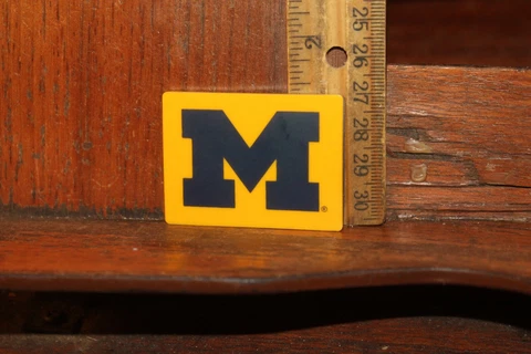 Michigan Wolverines Magnet Cover