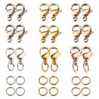 240pcs/box Lobster Clasps Hooks Stainless Steel with 6mm Jump Rings Mixed Color
