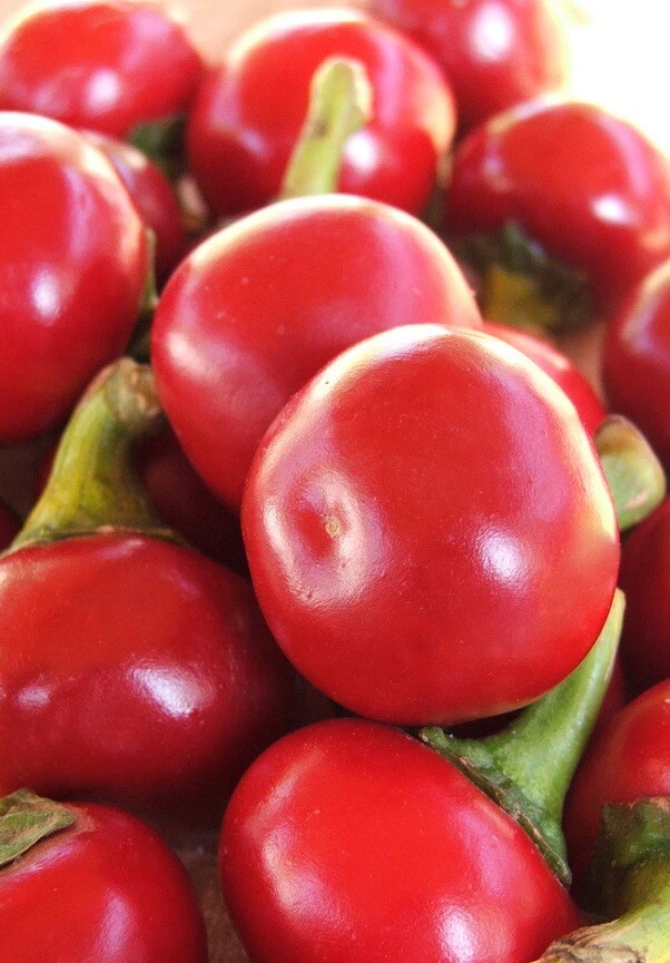 Peperone ciliegia Kalocsai - peperoncino - 10+ semi - semi - ORIGINALE UNGHER... - Immagine 1 di 1