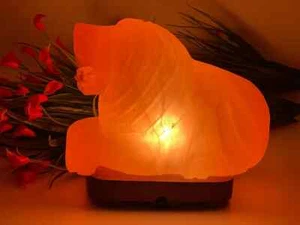 Natural Himalayan Pink Salt Lion Shape Lamp, Dimmer Switch Ionizer Lamp, 8 Inch - Picture 1 of 4