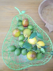 Lime green wire pear shaped fruit bowl - Picture 1 of 7