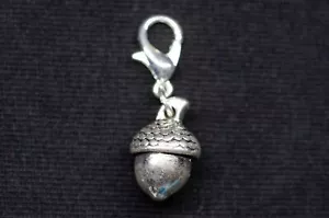 Eichel Charm Miniblings Anhänger Haselnüsse Nuss Nüsse Eicheln silber - Bild 1 von 6