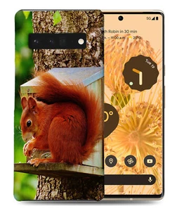 CASE COVER FOR GOOGLE PIXEL|CUTE ADORABLE SQUIRREL RODENT #2 - Picture 1 of 11