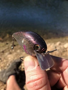 Crankbait pintado personalizado púrpura cobre Fastback azul 2,5 silencioso - Imagen 1 de 12