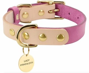 Dog Collar -Small Vegan Two Tone Collar with Gold Hardware - Picture 1 of 4