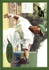 Nelson Castro 2001 Shreveport Swamp Dragons RC Card *AutographDen* FREE SHIP - Picture 1 of 1