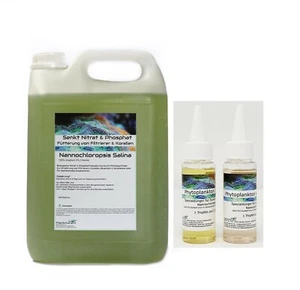 ENVÍO RÁPIDO enfoque de cría 5 litros Nannochloropsis fitoplancton + fertilizante 100 ml - Imagen 1 de 1