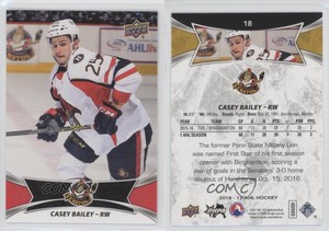 2016-17 Upper Deck AHL Red Casey Bailey #18