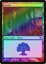 Forest (298) FOIL Shadowmoor PLD Basic Land MAGIC THE GATHERING CARD ABUGames