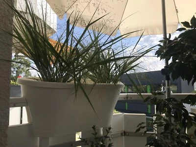 Blumentopf -Corsica Flower 60cm Weiß Geländerblumenkasten,Kübel,Gebracht wie Neu - Bild 1 von 4