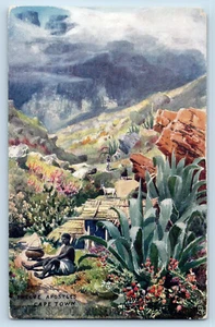Cape Town South Africa Postcard Twelve Apostles 1910 Oilette Tuck Art - Picture 1 of 2