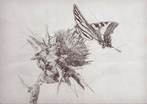 Butterfly on a thistle pencil drawing, artwork print, unique gift,  A4 Print