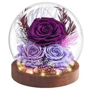 Preserved Flowers Gifts for Her Women,Birthday Gifts for Mom Girlfriend Wife ... - Picture 1 of 8