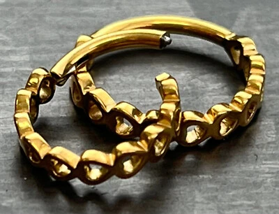 Anillo de segmento con bisagras de corazones orientados laterales de 1 pieza aro de acero quirúrgico hélice Daith Foto 1 de 3