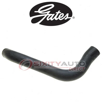 Gates Lower Radiator Coolant Hose for 1973-1974 GMC P15 P1500 Van 4.1L L6 - xv Foto 1 de 4