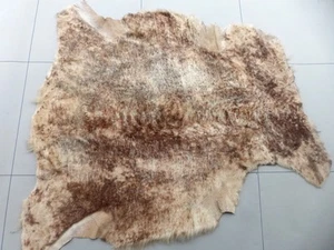 pelle di pecora merino pelle di shearling toni terra screziata capelli corti setosi - Foto 1 di 6