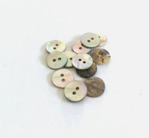12 Buttons Iridescent Natural Real Shell 2-Hole Sew Through Sewing 12 mm #SH7 - Picture 1 of 5