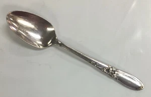 Oneida Community White Orchid Silver-Plated Coffee Spoon 4 3/8" - Picture 1 of 9