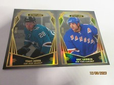 2022-23 UD STATURE 2 DESIGN VARIANT #/65 ERIC LINDROS & TIMO MEIER