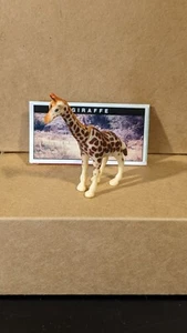 SERIES 5 Giraffe + Paper - Picture 1 of 1