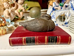Vintage Ente montiert auf einem gefälschten Buch Briefbeschwerer | Unikat | Selten | Interessant - Bild 1 von 10