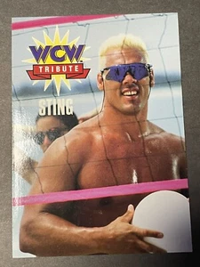 CARDZ 1995 - evento principal de la WCW - #80 - Sting - Imagen 1 de 2