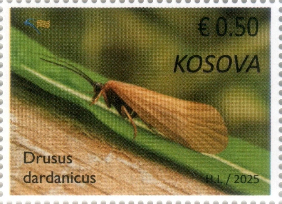 Estampillas de Kosovo 2025. Fauna endémica: Drusus dardanicus. Definitive MNH Foto 1 de 1