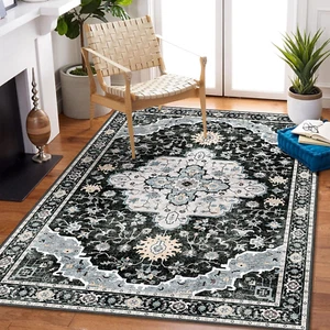 Black Rug 3X5,Washable Area Rugs for Bedroom Living Room Kitchen Entryway,Small - Picture 1 of 7