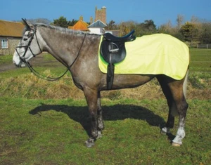 WATERPROOF HIVIZ RIDING RUG SHEET PONY COB FULL HI VIZ EQUESTRIAN *FREE POST* - Picture 1 of 3