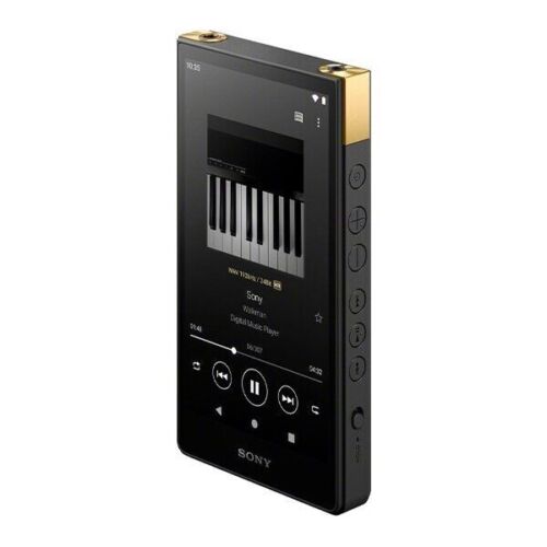  Surfans F20 HiFi MP3 Player with Bluetooth, Lossless DSD High  Resolution Digital Audio Music Player, High-Res Portable Audio Player with  32GB Memory Card, Support up to 256GB : Electronics