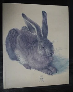 Dürer Meisterwerke der Albertina von Jose' Manuel Matilla - Bild 1 von 12