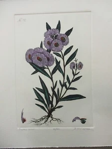 "Mitra, Dan - ""England Aster" - Imagen 1 de 4