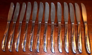 13 Very Nice VTG Oneida Community Stainless Atomic Twin Star Dinner Knives - Picture 1 of 2