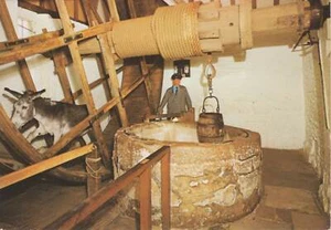 (ar54) The Donkey Treadmill at Carisbrooke Castle - Isle of Wight Postcard - Picture 1 of 2