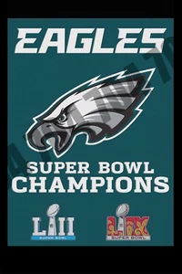 Super Bowl 59 Champions Philadelphia Eagles 24x36 Vinyl Banner – NFL Man Cave - Picture 1 of 1