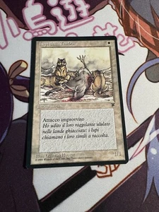 LUPI DELLA TUNDRA Legends Italy/Italian 1995 Magic MTG Tundra Wolves LP - Picture 1 of 2