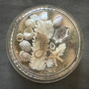 Vintage MCM Tiny Shell Seahorse Starfish Paperweight Glass Magnifier - Picture 1 of 9