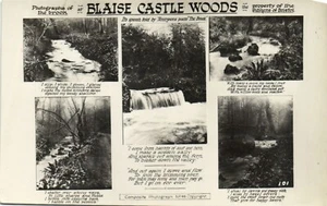 PC BLAISE CASTLE WOODS BRISTOL ENGLAND REAL PHOTO POSTCARD (u9812) - Picture 1 of 2