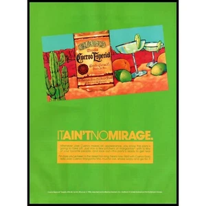 1992 Jose Cuervo Tequila Vintage Print Ad Mexico Desert Cactus Drawing Wall Art - Picture 1 of 1