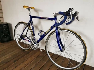 Wilier Duran RT 99 Road Bicycle 700c 18 Speed Racing Bike Shimano Mavic VGC - Picture 1 of 12