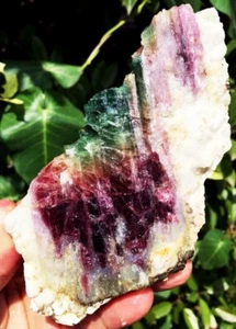 447g Natürliche Ausgezeichnete Wassermelonenfarbe Turmalin Eiskristall Präparat ip1289 - Bild 1 von 12