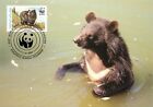 Carte maximale E0008 WWF 1989 animaux de la faune Pakistan Himalaya ours noir