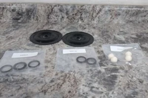 Dayton KG15-MN-G Wet End Repair Kit for Air Operated Double Diaphragm Pump - Picture 1 of 9