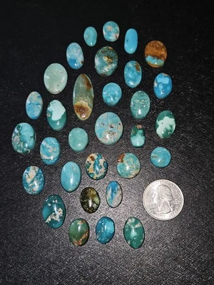 Beautiful Fox Turquoise Stones - Backed - 31 pieces - 271.20 carats total - Image 1 of 4